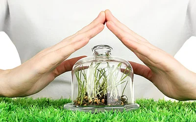 Organic gardening methods