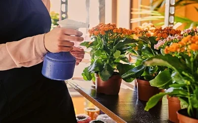 Smart irrigation systems